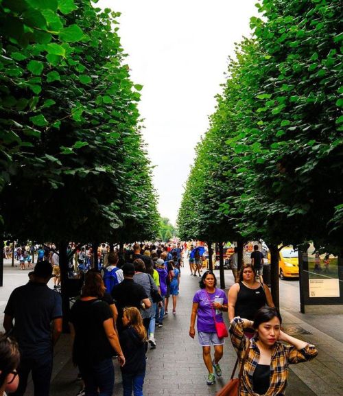 In line @metmuseum #nyc #newyorkcity @copamilwaukee #spicollective #streetphotography  www.i