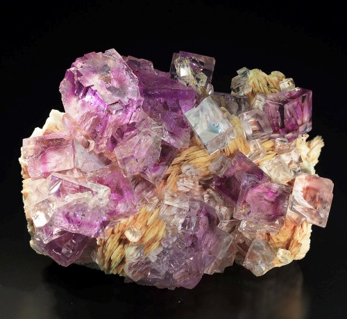 Fluorite on Barite - Spain