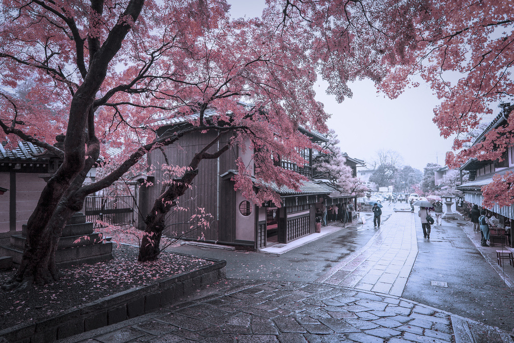 mysearchingheart:  [KANSAI2012] (by mcdyessjin (Yu-Jen Shih)) 