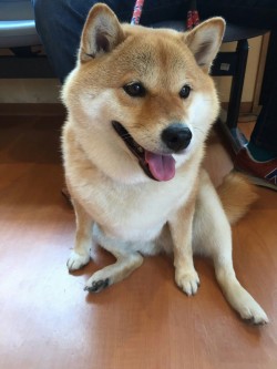 niceshibe:  i can be your angle…. or yuor
