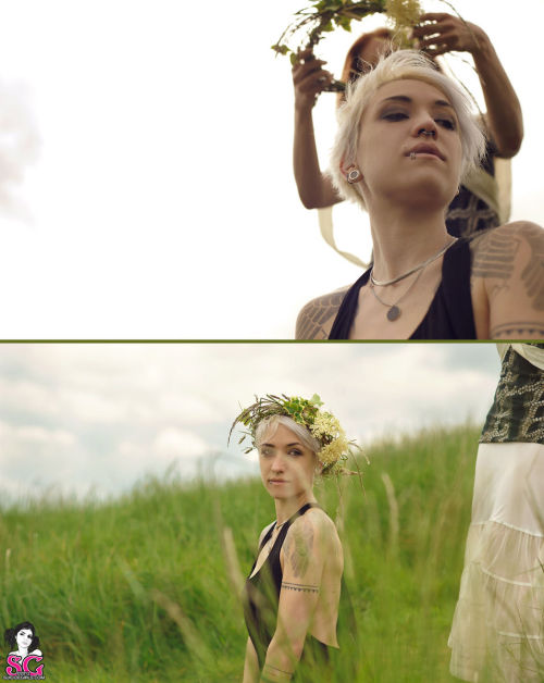 suicide–love:  Dwam.