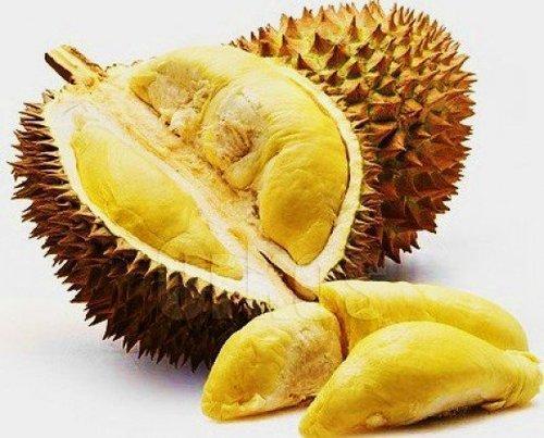 A big blunder is expecting durian being like other fruit. Within the West, our dry fruits are juicy,