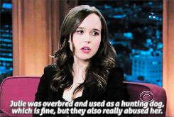 elliotpdaily:Ellen talking about her dogs.           ↳ requested by anonymousY___Y