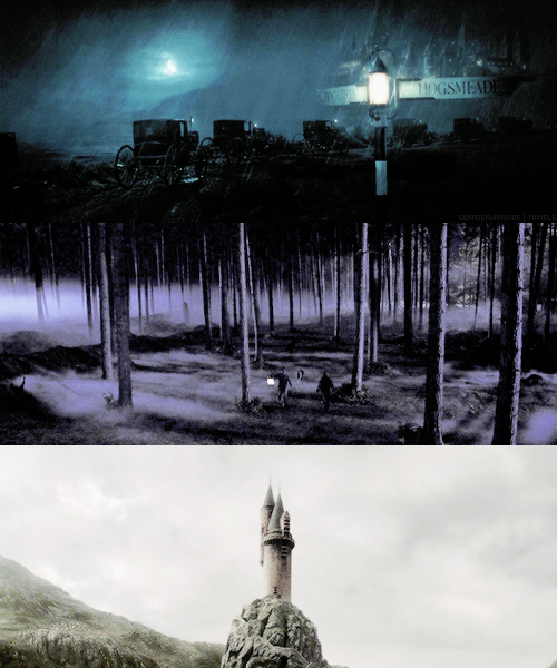 grangerwarrior:  I never noticed how beautiful this place is.  