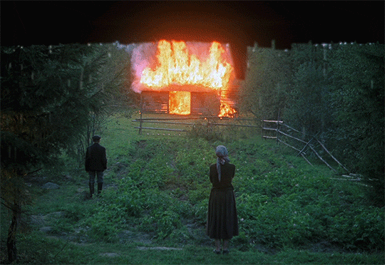 flamboyantdepressed:The Mirror (1975) dir. Andrei Tarkovsky