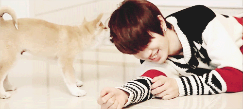 INFINITE Lovely With Puppies