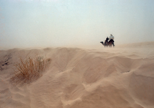 unearthedviews: TUNISIA; Douz, in the desert.© Ferdinando Scianna/Magnum Photos