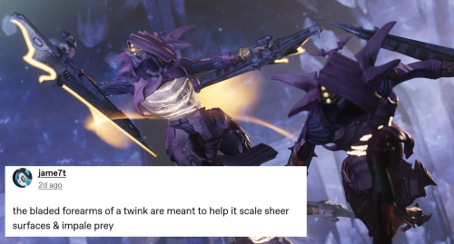 DESTINY 2 AS TUMBLR TEXT POSTS 💠💬✨