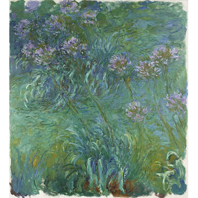 moma:  Happy birthday Claude Monet! Monet was born 173 years ago today in Paris.  [Claude Monet. Agapanthus. 1914-26] 