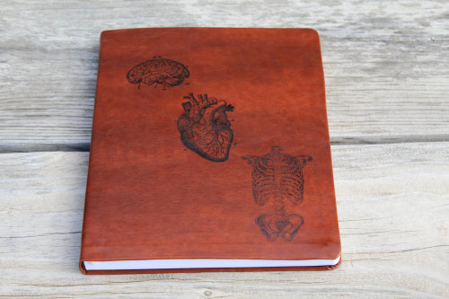 sketchdrawingsbyasketchgirl:Large Anatomical Brain Heart & Human Skeletal Torso Journal Diary Sk