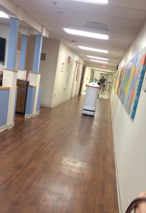 qweety: rainbrolly: i am at the hospital today with my mom and there is this little robot that just 