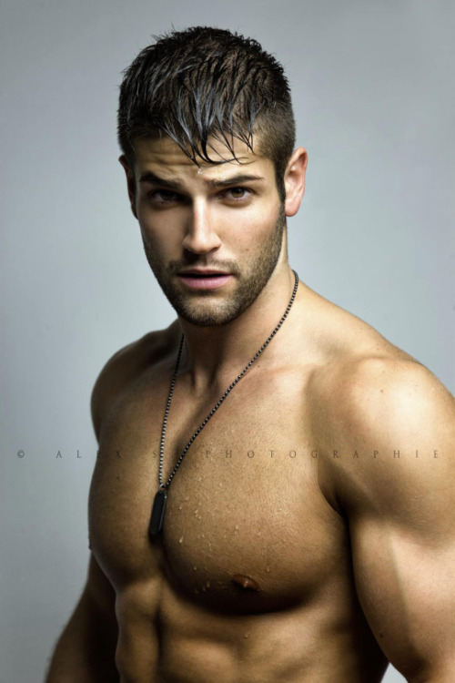 HAIRY BEAUTY AND STARS!