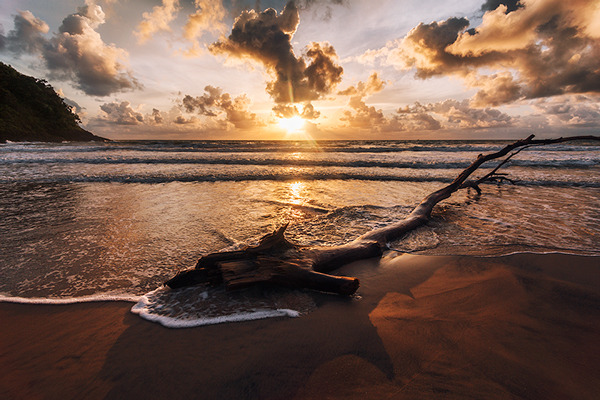 definitelydope:  Tropical, Lukas Furlan