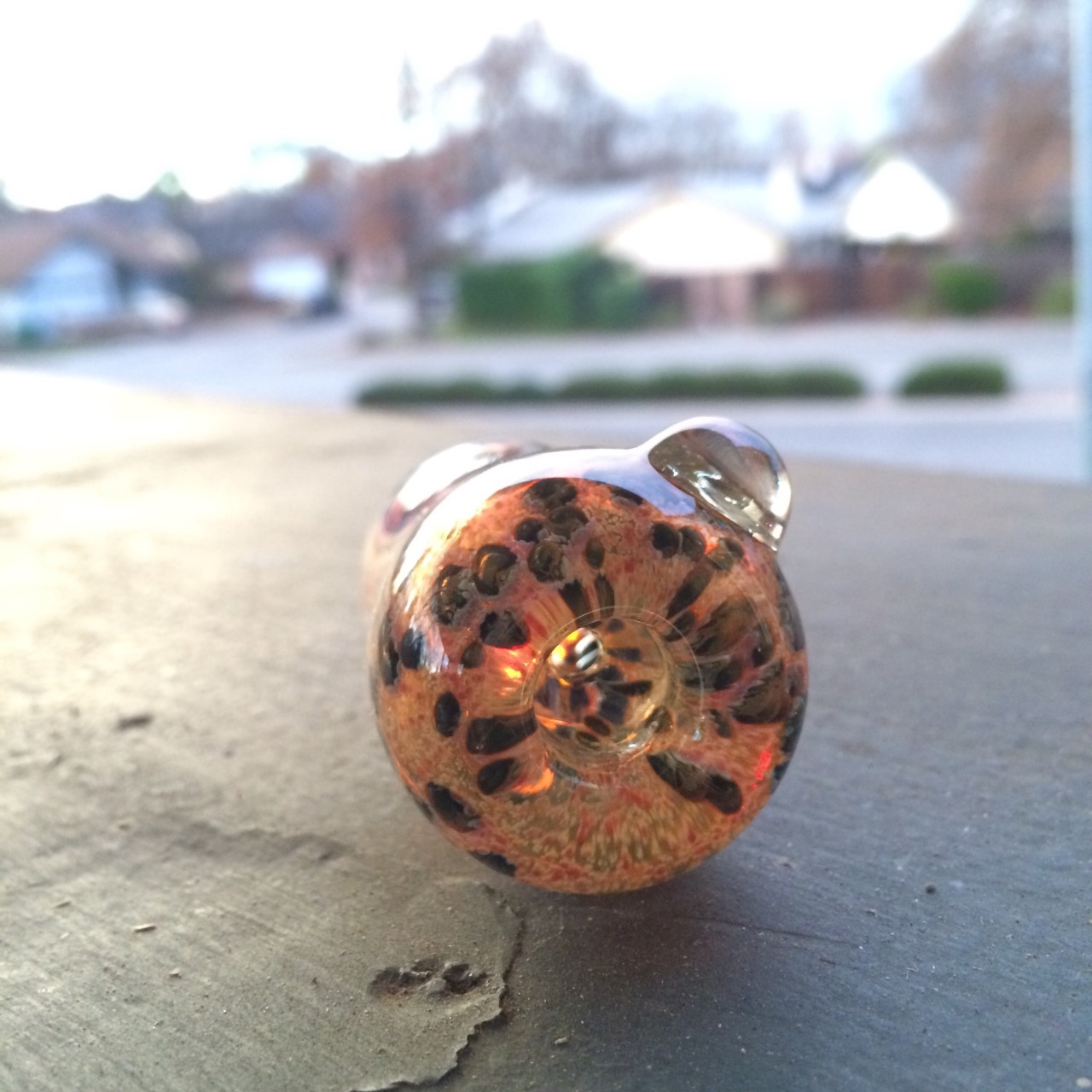 weedstop:  new chillum