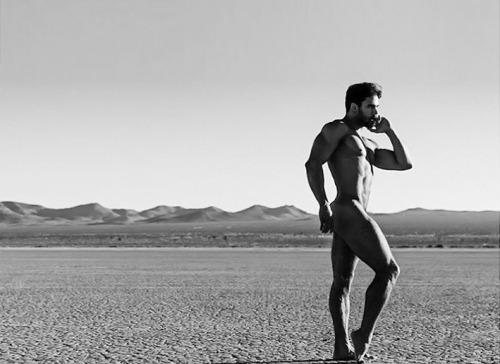 tornepl:  Willie Gomez by Kevin McDermott 
