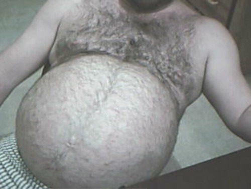 lbgainfat:  Beer Belly
