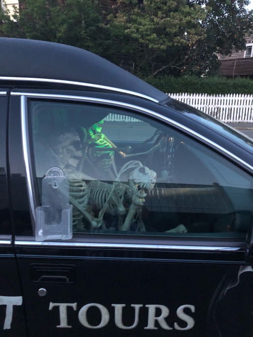 Seems Like Sans And Papyrus Found A New Job...