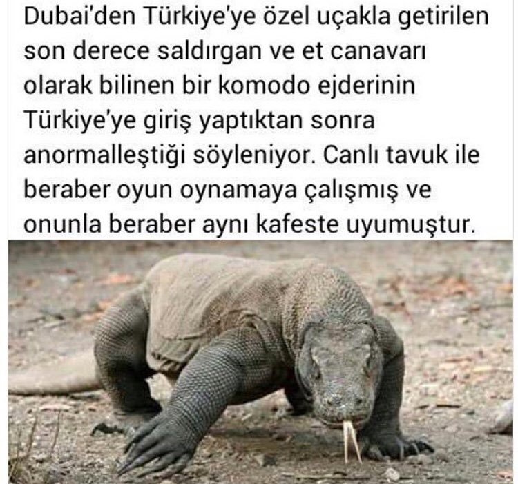 Dubai'den Türkiye'ye özel...