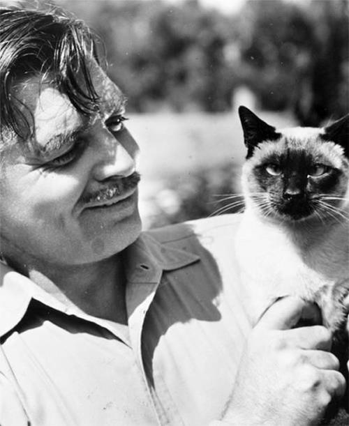 holidays-events: Celebrate International Cat Day With These Famous Cat Lovers And Their Cats August 