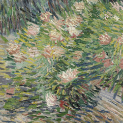 lonequixote: Vincent van Gogh Grass and Butterflies (detail)