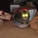 fbwzoo:fbwzoo:Imagine thinking you should toss your cat outside to get hit by a car or eaten by a coyote because there’s justNoPossibleWayToGiveThem EnrichmentInside.Imagine if there was only a way to increase space for your cat inside.There’s