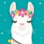 the-chill-llama
