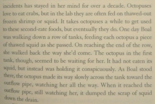 fat-pony-of-the-horse-mafia: Cephalopods have had enough of your shit