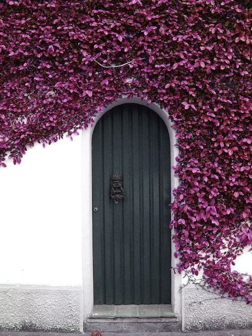 Obsessing Over: Flower Walls