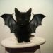 ms-umbrabat:emm-aaaaaaa:likepapeerplanes:pets-wings:🎃 Halloween is coming and