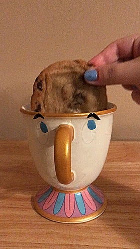 My Chip mug from disney ☕🍪 adult photos