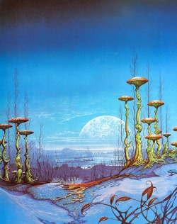  Patrick Woodroffe 