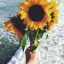 oceaan-wavesss
