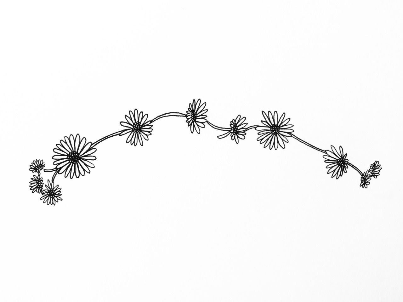 daisy chain by flowwwer on DeviantArt