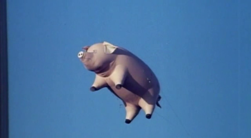 calimarikid:  Pink Floyd Animals photoshoot 1977 