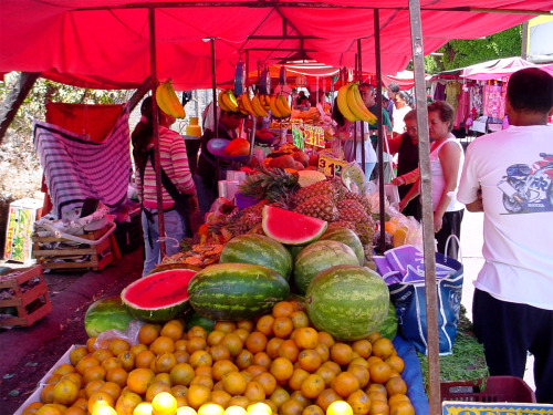 Tianguis  Mercado tradicional que ha existido en Mesoamérica desde la época prehispánica 