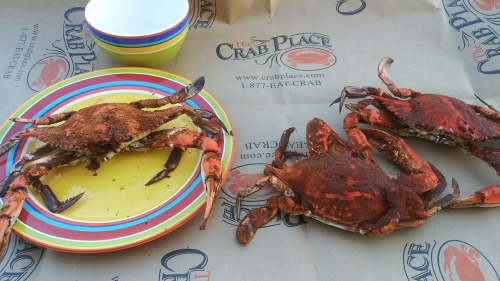 crabfeast
