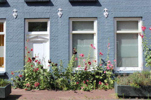 Nieuwdammerdijk, Amsterdam-Noord. June 2020.© JB