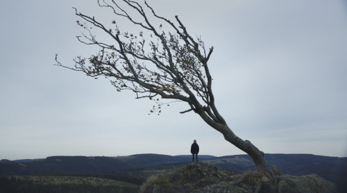 greatestnorthern:  “The human qualities can be expressed in one word: hypocrisy. We elevate those who say right but mean wrong and mock those who say wrong but mean right.”Nymphomaniac: Vol. II (2013) dir. Lars von Trier