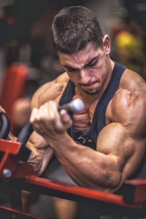 cdnlifter27:  Gal Balint