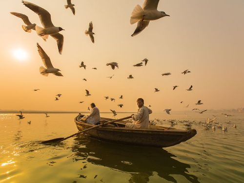 passivites:  The annual migration attracts tourists to Varanasi, and for a fee, boatmen take tourist