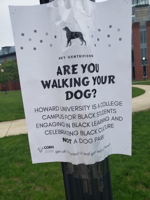 Howard students aren’t playing around LOL, make sure to follow us on Instagram @washingtonianprobs