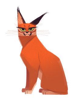 dailycatdrawings:  470: Caracal