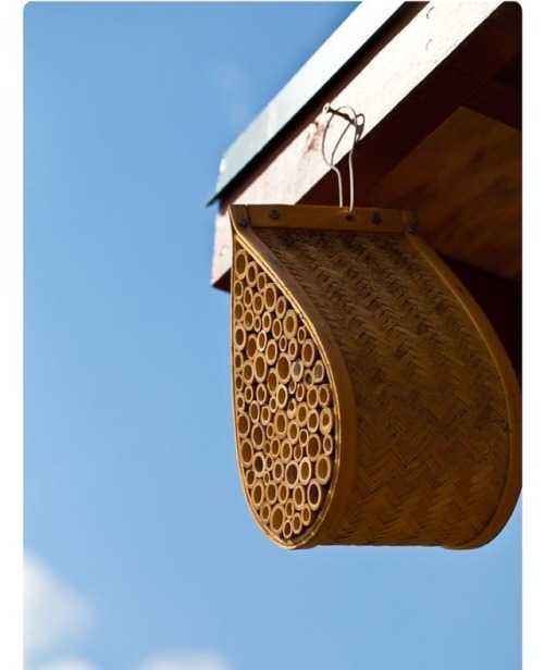 In love with these Sun &amp; Skep Hives&hellip;