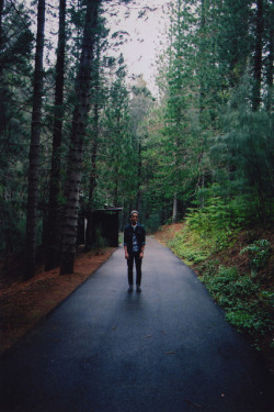 calms:  nature/vintage blog