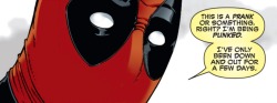 elmcitygeek:  Night of The living Deadpool