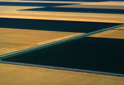 unrar:  Farmlands in North Dakota, Annie