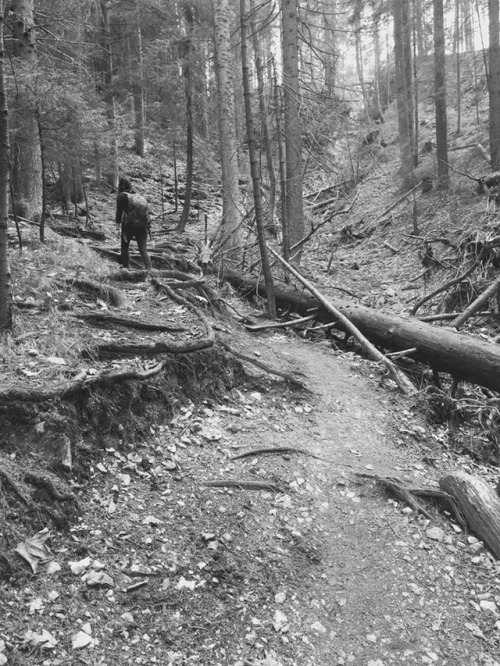 Spring IIAprilHaving real sarcastic fun in Slovak paradise National park. BTW: I discovered my 