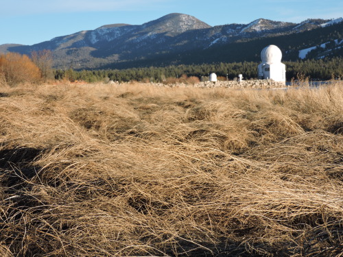 Big Bear Solar Observatory, 12 February 2015