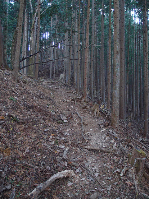 Trail to summit of Mount Mito by *_* on Flickr.