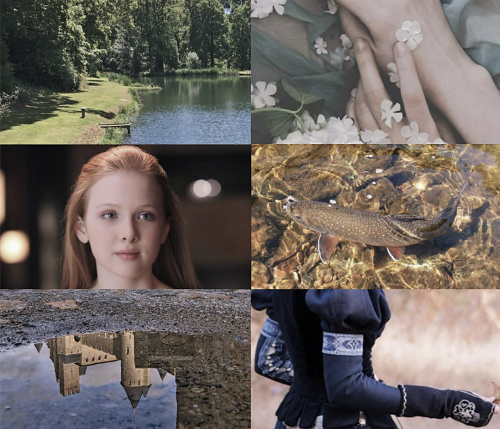 tethys-the-aquatic-sea-godness: Age accurate Rebellion ladies:Ashara Dayne; 20 years old at the time